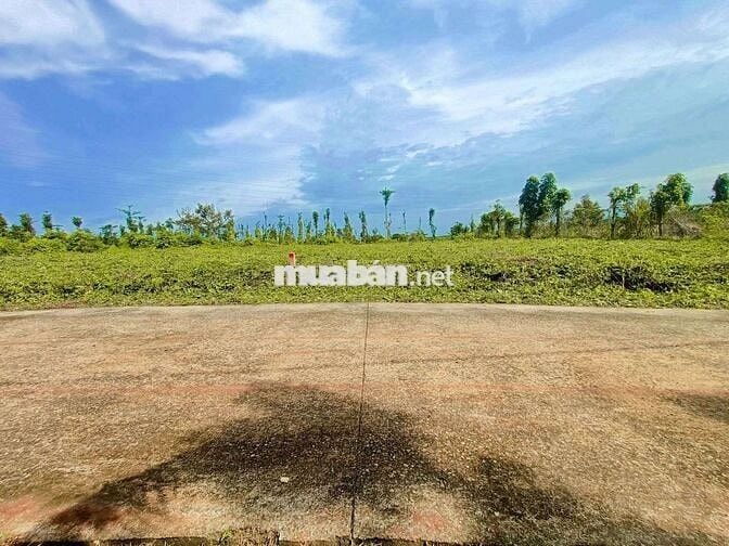 Đất view hồ kim long làm nhà vườn nghĩ dưỡng đẹp