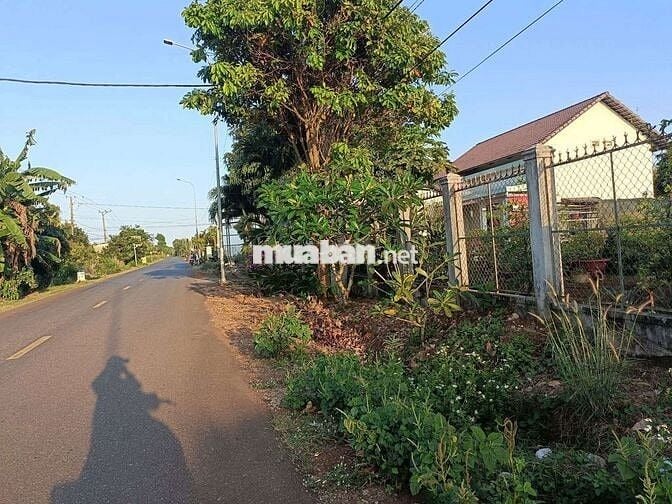 Đất view hồ kim long làm nhà vườn nghĩ dưỡng đẹp