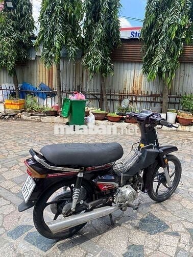 Xe dream Hàn Quốc bstp