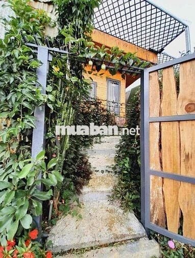 CHO THUÊ NHÀ NGUYÊN CĂN KHU DINH 3 ĐÀ LẠT