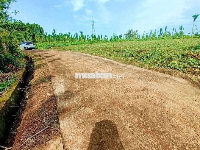 Đất view hồ kim long làm nhà vườn nghĩ dưỡng đẹp