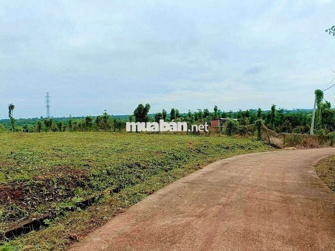 Đất view hồ kim long làm nhà vườn nghĩ dưỡng đẹp