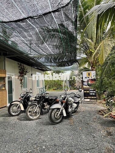 Xe côn tay Honda Shadow màu trắng xanh