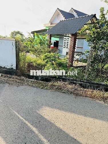 Đất thổ cư mặt tiền đường nhựa (20m x 69m)