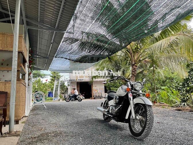 Xe côn tay Honda Shadow màu trắng xanh