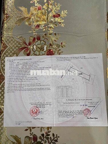 bán đất 4x 21 sau lưng phần mềm Quang Trung Tân Chánh Hiệp