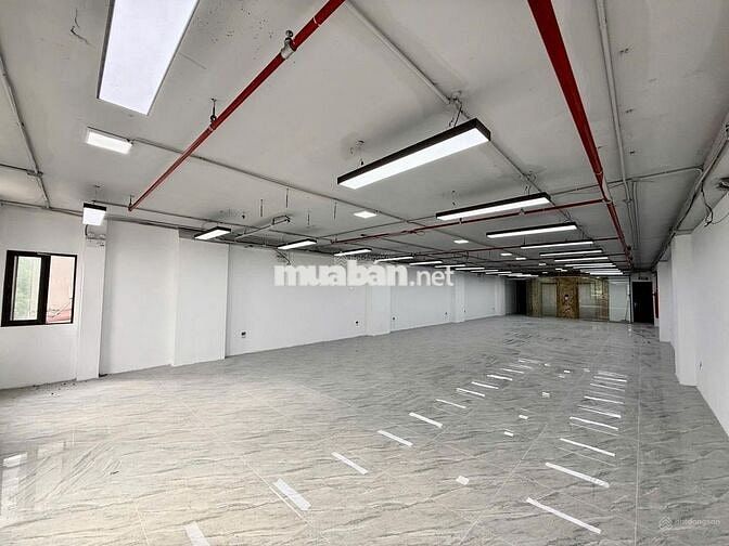 Cho Thuê Tòa Nhà MT Hoàng Hoa Thám Ngay Công Ga T3_ Hầm 6 Lầu. Có PCCC