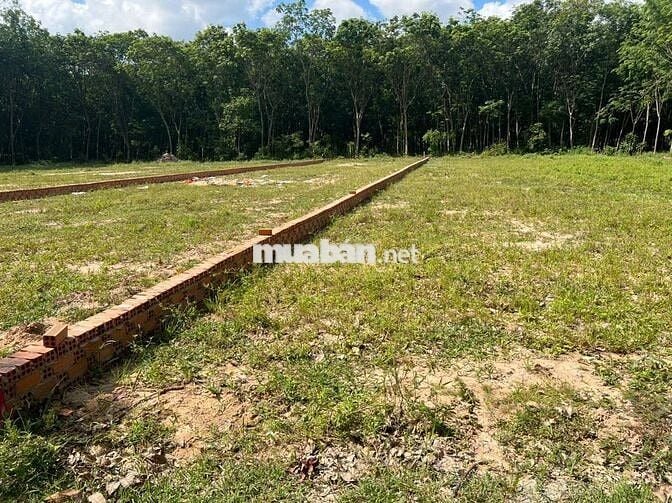 Bán đất ngay khu công nghiệp Visip 2 ngân hàng hỗ trợ có sổ