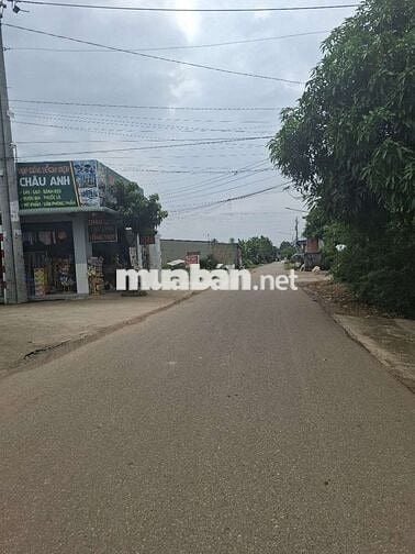 Gấp lắm rồi 900t hạ còn 650t. A chị phải thật nhanh mới còn ạ