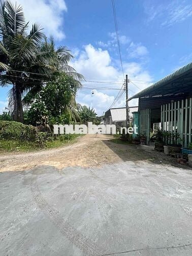 350tr lô đất đường bê tông trong khu dân cư đông