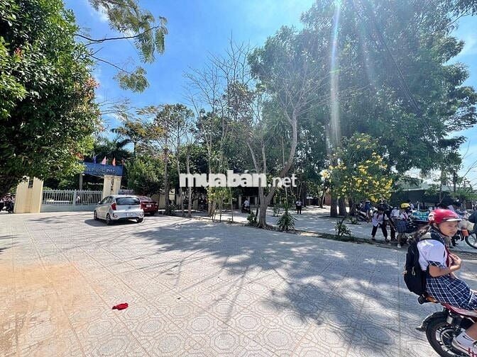 350tr lô đất đường bê tông trong khu dân cư đông
