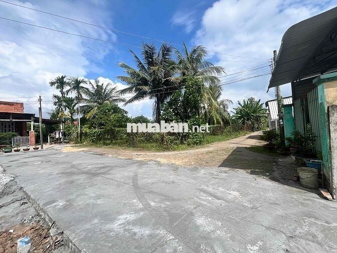 350tr lô đất đường bê tông trong khu dân cư đông