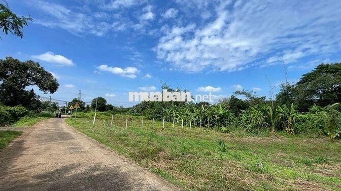 Đất ngộp giá rẻ thổ cư ven suối sát SB Long Thành chỉ 17km