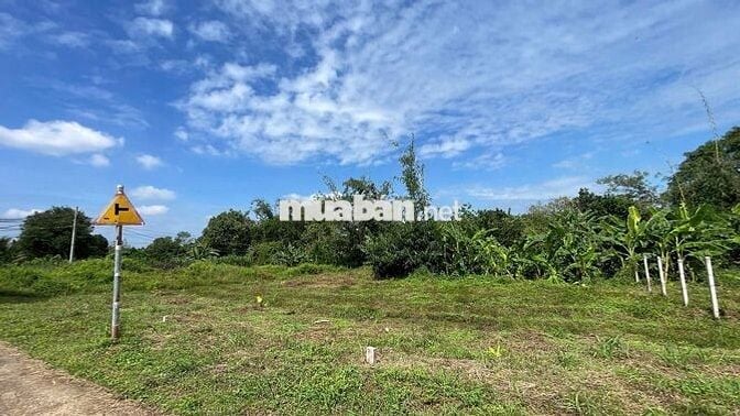 Đất ngộp giá rẻ thổ cư ven suối sát SB Long Thành chỉ 17km