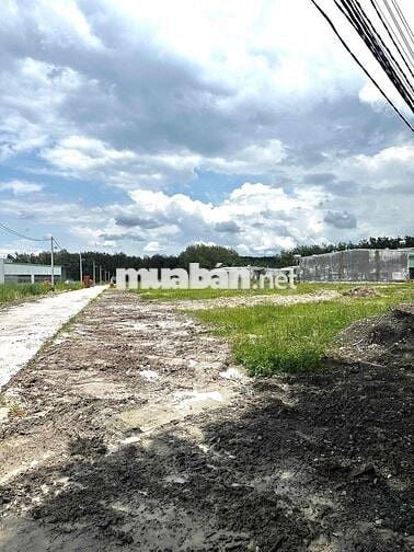 BÁN NHANH LÔ ĐẤT TRONG KCN MINH HƯNG 3 175M2 GIÁ 600TR SHR