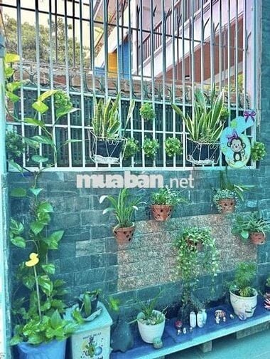 CHO THUÊ NHÀ 4 PHÒNG NGỦ HẺM PHỐ TÂY SÁT VINCOM GIÁ 15 TRIỆU/THÁNG