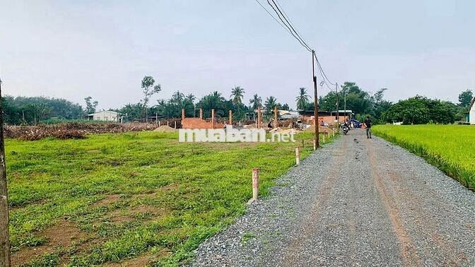 BÁN ĐẤT: 149m2 thổ cư TX Trảng Bàng - cách chợ Lộc Hưng 2km - SHR