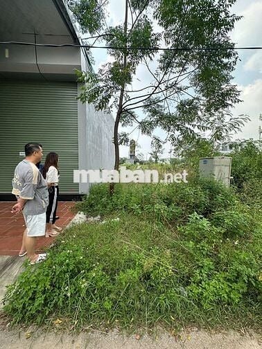 Bán lô đất 50m mặt tiền, khu dịch vụ 2  Đồng Mai, Hà Đông,