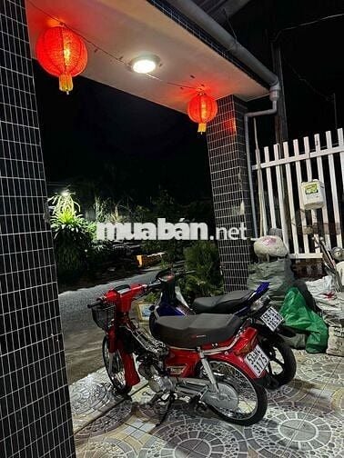 Honda dream dọn tâm huyết để vợ đi chợ BSTP 🏎️🏎️