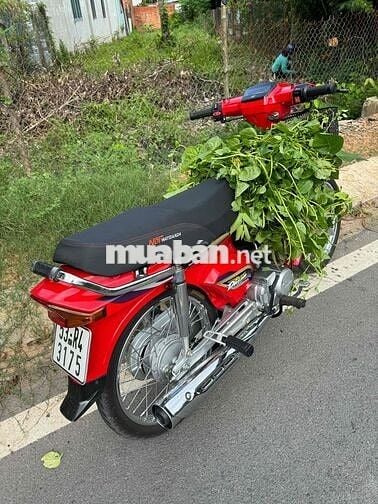 Honda dream dọn tâm huyết để vợ đi chợ BSTP 🏎️🏎️