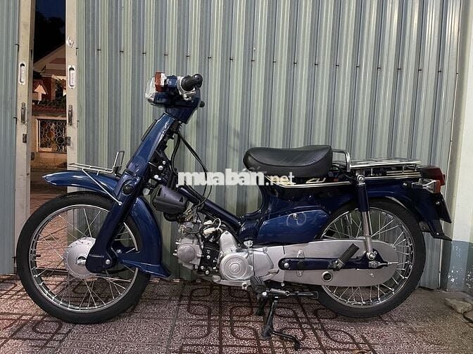 Cub 50 2023