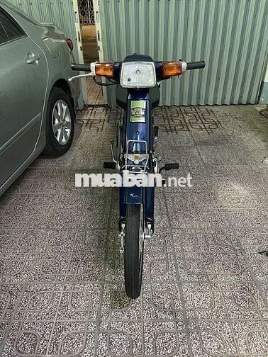 Cub 50 2023