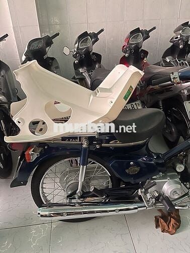 Cub 50 2023