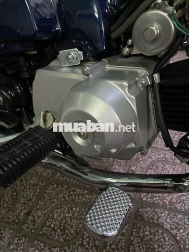 Cub 50 2023