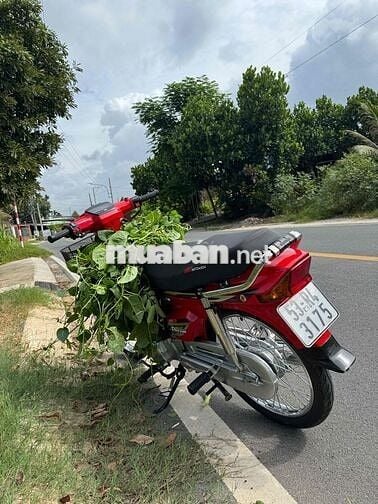 Honda dream dọn tâm huyết để vợ đi chợ BSTP 🏎️🏎️