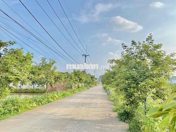 Đất nông nghiệp 360m2 trên đường Phụng Châu, phường Chương Mỹ HN