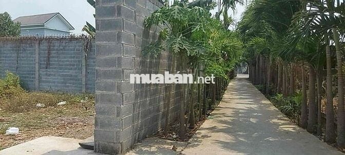 BÁN LÔ ĐẤT VƯỜN 2 MẶT TIỀN – XÃ BÌNH HOÀ - Gần Cây Xăng Phúc Lâm