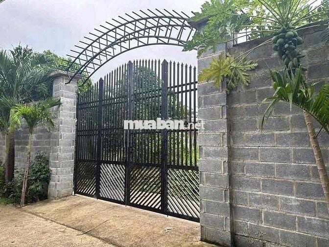 BÁN LÔ ĐẤT VƯỜN 2 MẶT TIỀN – XÃ BÌNH HOÀ - Gần Cây Xăng Phúc Lâm