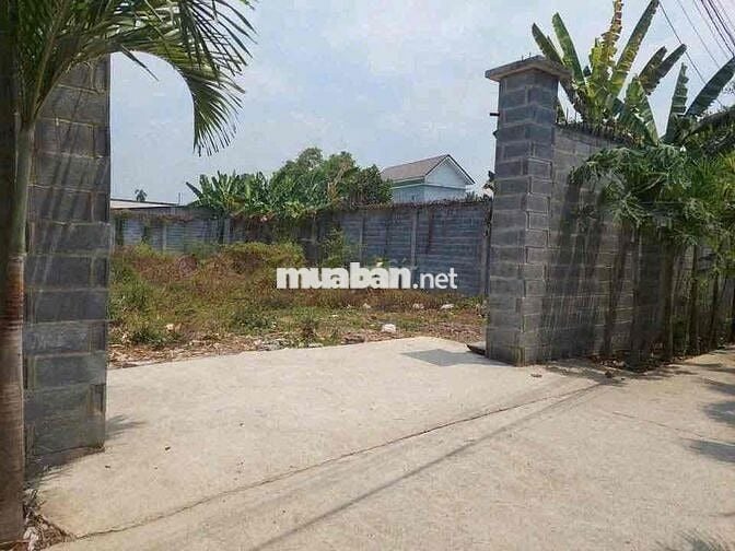 BÁN LÔ ĐẤT VƯỜN 2 MẶT TIỀN – XÃ BÌNH HOÀ - Gần Cây Xăng Phúc Lâm