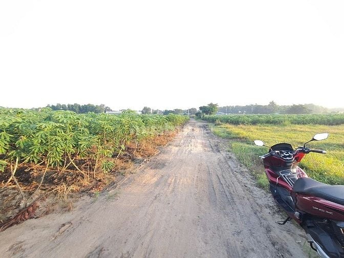 Chủ cần bán lô đất ở vuông vức 25.5mx39.5m, đường ô tô 1 sẹc, 3.3ty