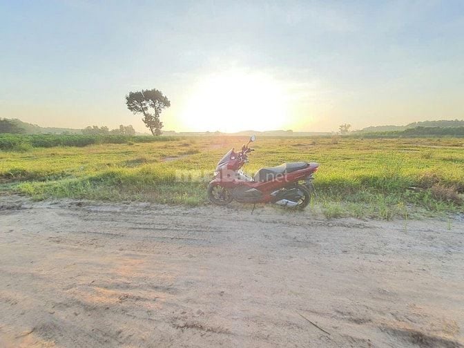 Chủ cần bán lô đất ở vuông vức 25.5mx39.5m, đường ô tô 1 sẹc, 3.3ty