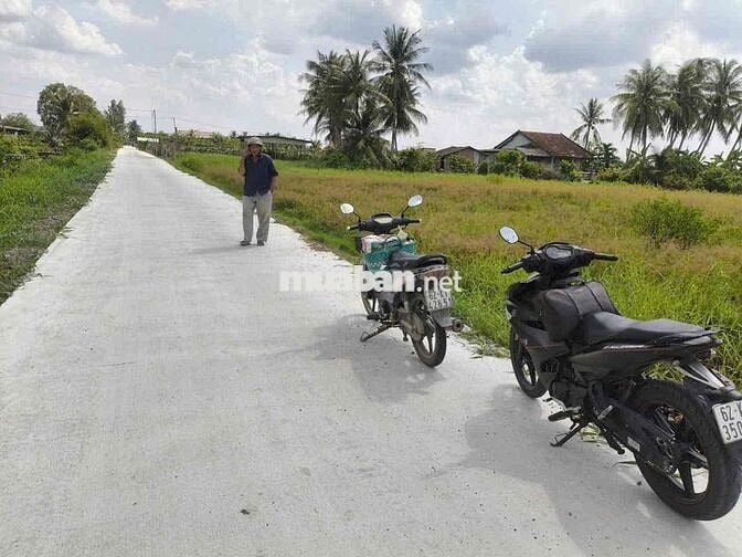 Bán  1247 m2 đất lúa được chuyển thỗ đươfng đan ôtô 5 m  wiu kenh mát