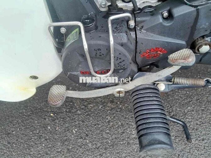 xe cúp 50cc