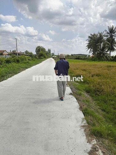 Bán  1247 m2 đất lúa được chuyển thỗ đươfng đan ôtô 5 m  wiu kenh mát