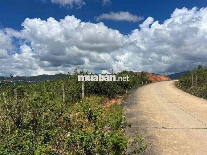 💥 5500m2 SRNN Đa Nhim, Lạc Dương, cách Đà Lạt 27km giá tốt đầu tư