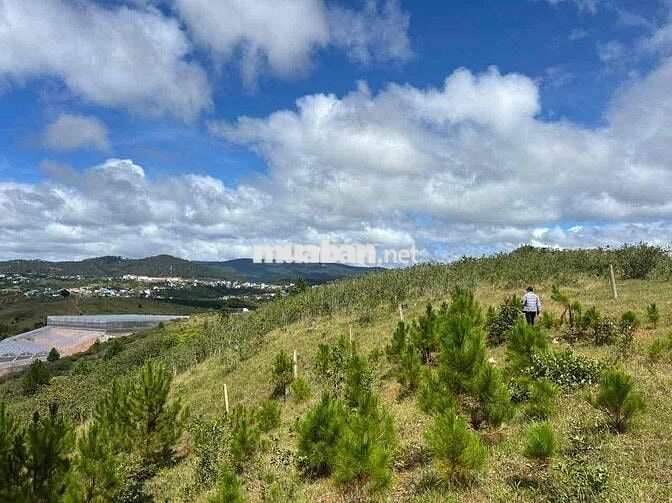 💥 5500m2 SRNN Đa Nhim, Lạc Dương, cách Đà Lạt 27km giá tốt đầu tư