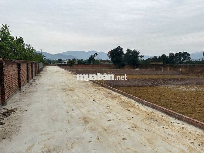 Bán 640m đất trung tâm xã Phú Cát với giá chưa bằng một căn CC HN