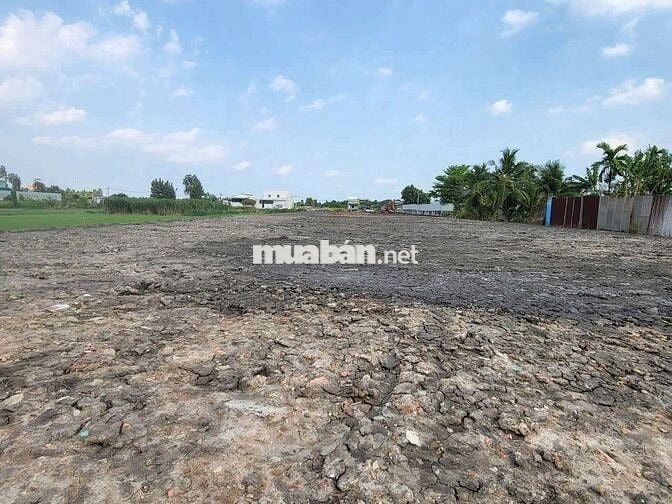 ĐẤT NHỊ BÌNH 4, DIỆN TÍCH:4200m2, SỔ HỒNG RIÊNG, CHỈ 4.5 TRIỆU/m2