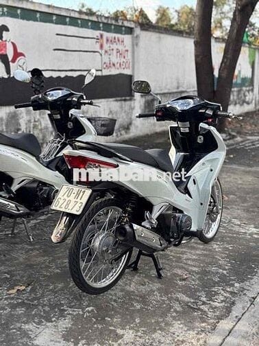 fu led 2023 dọn kiểng