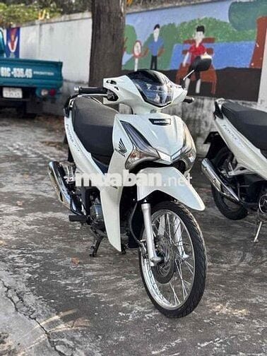 fu led 2023 dọn kiểng