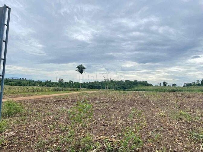 🌿 BÁN ĐẤT XÃ LÂM SAN – HUYỆN CẨM MỸ – ĐỒNG NAI 🌿  📍 Vị trí: Xã Lâm San