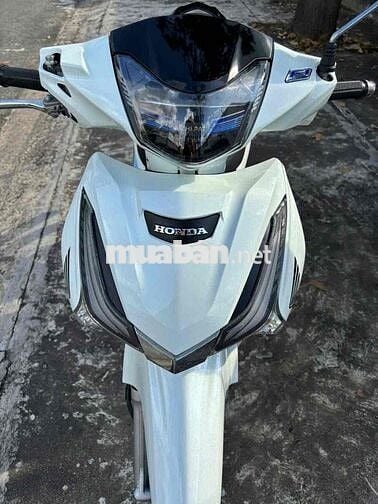 fu led 2023 dọn kiểng