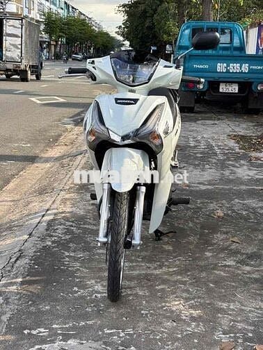 fu led 2023 dọn kiểng