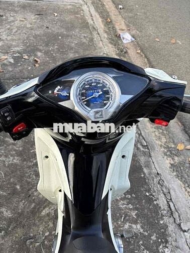 fu led 2023 dọn kiểng