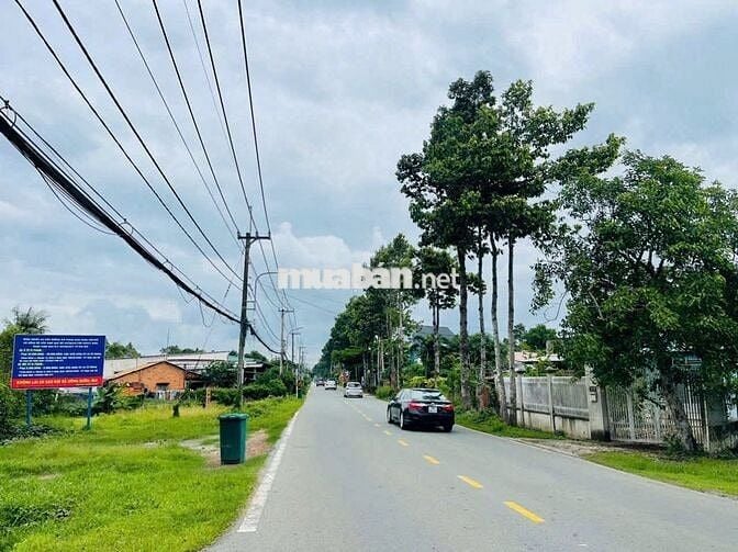 Bán nhanh lô đất Đ.Ninh Tốn, Thị Trấn Củ Chi, DT 97m2 giá 800tr SHR