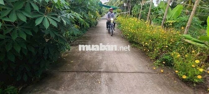 Đất Mặt Tiền gần trường học, chợ ủy ban TT Huỳnh Hữu Nghĩa